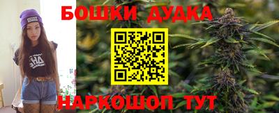 стафф Донской