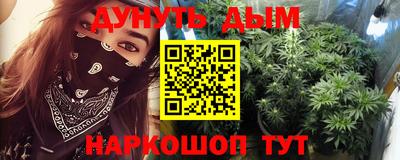 стафф Донской