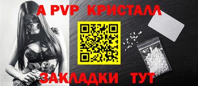 стафф Донской
