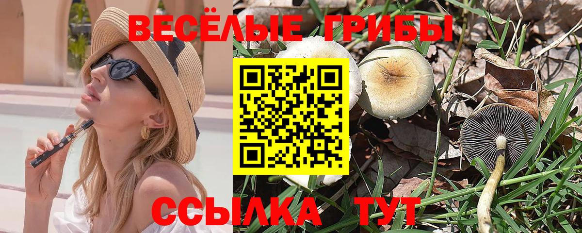 даркнет сайт  Галлюциногенные грибы Cubensis  Вход с VPN  Набережные Челны 